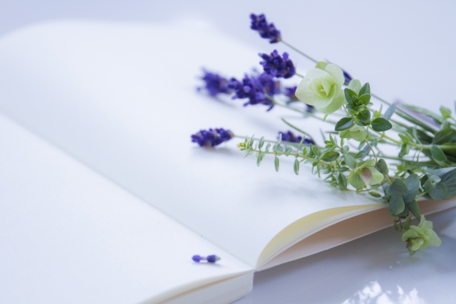 �h�e���ʔ�